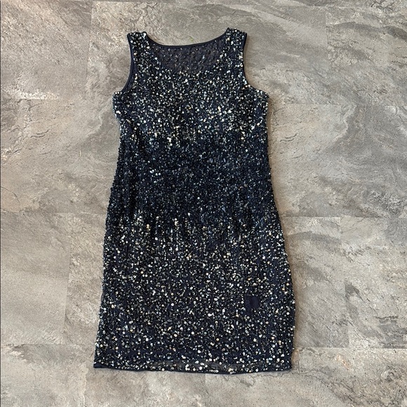 Adrianna Papell Navy Blue and Silver Sequin Dress, Sheath, Sleeveless, Size 8 - Picture 1 of 17